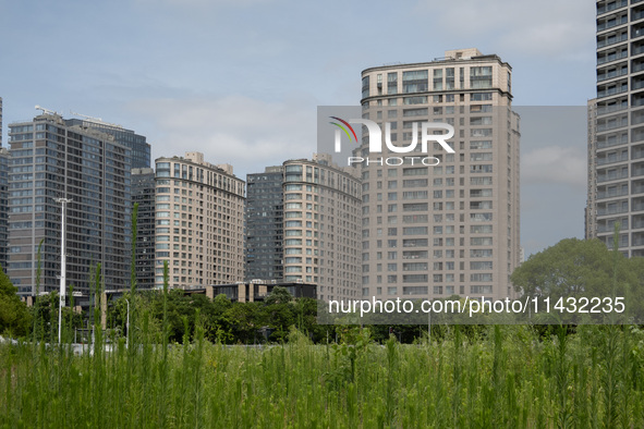 Residential buildings are being seen near the Huangpu district in Shanghai, China, on July 25, 2024. 