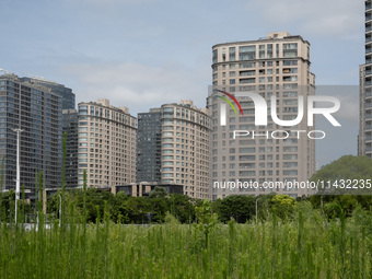 Residential buildings are being seen near the Huangpu district in Shanghai, China, on July 25, 2024. (