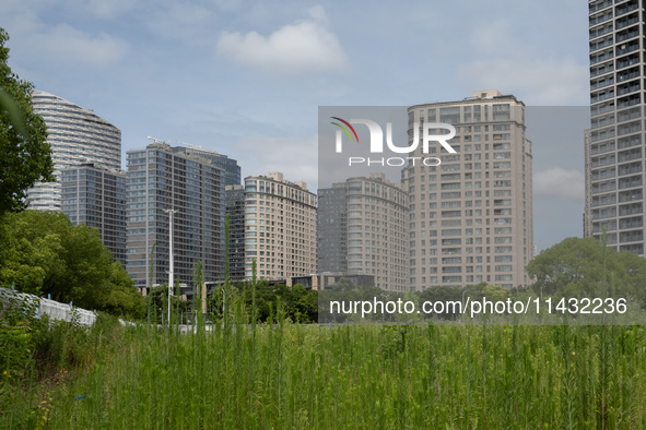 Residential buildings are being seen near the Huangpu district in Shanghai, China, on July 25, 2024. 