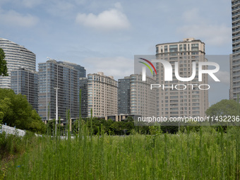 Residential buildings are being seen near the Huangpu district in Shanghai, China, on July 25, 2024. (