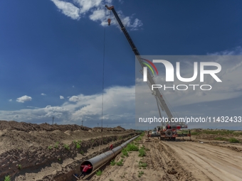 Workers are installing fiberglass tubes in a high-standard farmland in Karamay, China, on July 24, 2024. (