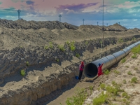 Workers are installing fiberglass tubes in a high-standard farmland in Karamay, China, on July 24, 2024. (