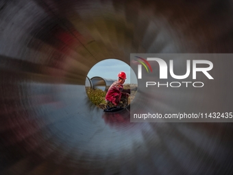 Workers are installing fiberglass tubes in a high-standard farmland in Karamay, China, on July 24, 2024. (