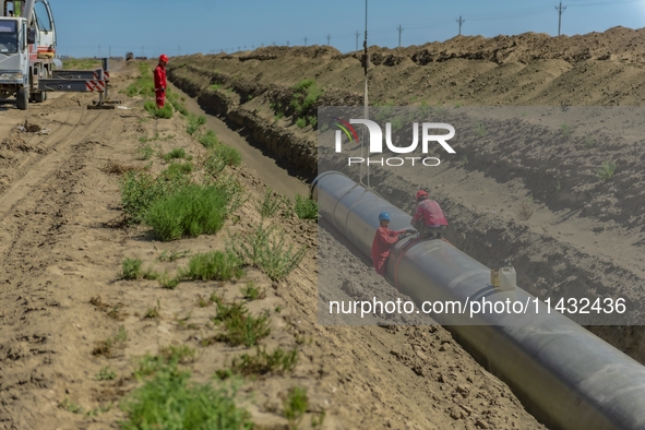 Workers are installing fiberglass tubes in a high-standard farmland in Karamay, China, on July 24, 2024. 