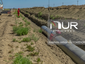 Workers are installing fiberglass tubes in a high-standard farmland in Karamay, China, on July 24, 2024. (