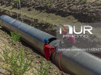 Workers are installing fiberglass tubes in a high-standard farmland in Karamay, China, on July 24, 2024. (