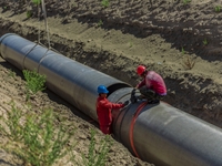 Workers are installing fiberglass tubes in a high-standard farmland in Karamay, China, on July 24, 2024. (