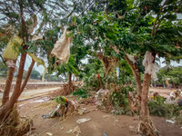 Plastic wastes are being left beside the river in Marikina City, Philippines, on July 25, 2024, after the massive flood in Metro Manila due...