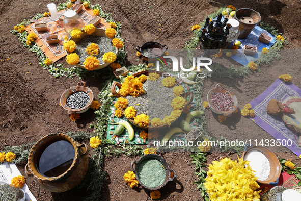 A view is showing an offering for a pre-Hispanic ceremony to Mother Earth during the presentation of the strategic project for the conservat...