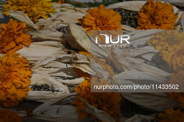 A view of an offering for a pre-Hispanic ceremony to Mother Earth with cempasuchil flowers is being presented during the strategic project f...