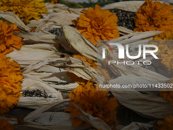 A view of an offering for a pre-Hispanic ceremony to Mother Earth with cempasuchil flowers is being presented during the strategic project f...