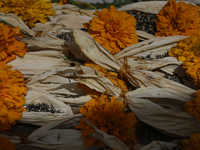 A view of an offering for a pre-Hispanic ceremony to Mother Earth with cempasuchil flowers is being presented during the strategic project f...