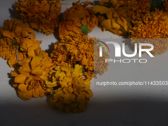 A view of an offering for a pre-Hispanic ceremony to Mother Earth with cempasuchil flowers is being presented during the strategic project f...