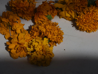 A view of an offering for a pre-Hispanic ceremony to Mother Earth with cempasuchil flowers is being presented during the strategic project f...