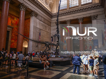 The Theodore Roosevelt Memorial Hall of American Museum of Natural History in New York City, United States of America on July 7th, 2024.  (