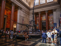 The Theodore Roosevelt Memorial Hall of American Museum of Natural History in New York City, United States of America on July 7th, 2024.  (