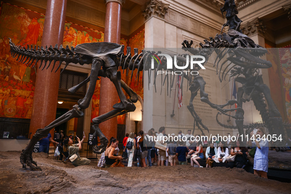 The Theodore Roosevelt Memorial Hall of American Museum of Natural History in New York City, United States of America on July 7th, 2024.  