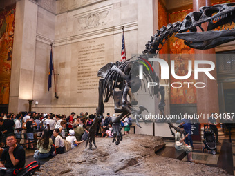 The Theodore Roosevelt Memorial Hall of American Museum of Natural History in New York City, United States of America on July 7th, 2024.  (