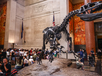 The Theodore Roosevelt Memorial Hall of American Museum of Natural History in New York City, United States of America on July 7th, 2024.  (