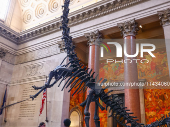 The Theodore Roosevelt Memorial Hall of American Museum of Natural History in New York City, United States of America on July 7th, 2024.  (