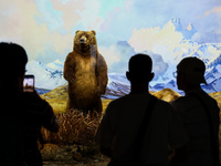 Diorama of Alaska Peninsula brown bears in the Hall of North American Mammals at American Museum of Natural History in New York City, United...