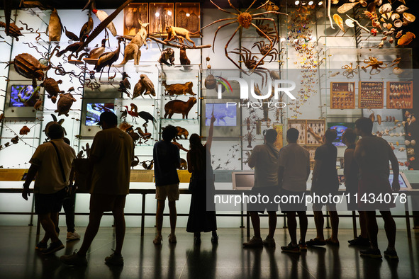  Visitors at Hall of Biodiversity in American Museum of Natural History in New York City, United States of America on July 7th, 2024.  