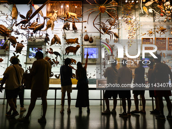  Visitors at Hall of Biodiversity in American Museum of Natural History in New York City, United States of America on July 7th, 2024.  (