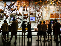  Visitors at Hall of Biodiversity in American Museum of Natural History in New York City, United States of America on July 7th, 2024.  (