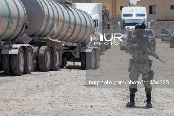 Members of the National Guard and the Army are arresting a man allegedly involved in gasoline trafficking in Ciudad Juarez, Chihuahua. A day...