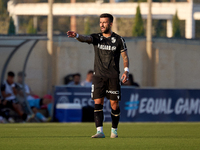 Tiago Silva of Vitoria SC is gesturing during the UEFA Europa Conference League, Second Qualifying Round, 1st Leg soccer match between Flori...