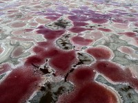 A photo is showing the view of Zhuigde Lake deep in the Badain Jaran Desert in Inner Mongolia, China, on May 4, 2020. On July 26, 2024, at t...