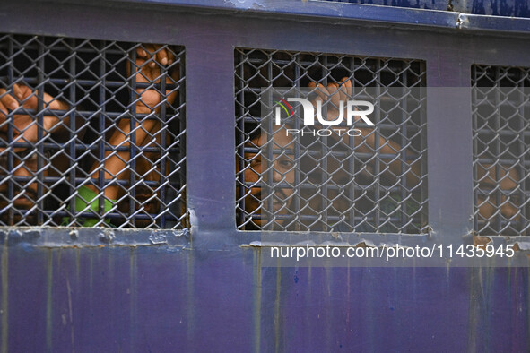 A police van is transporting protesters to the jail after their court hearing in Dhaka, Bangladesh, on July 26, 2024. The number of arrests...