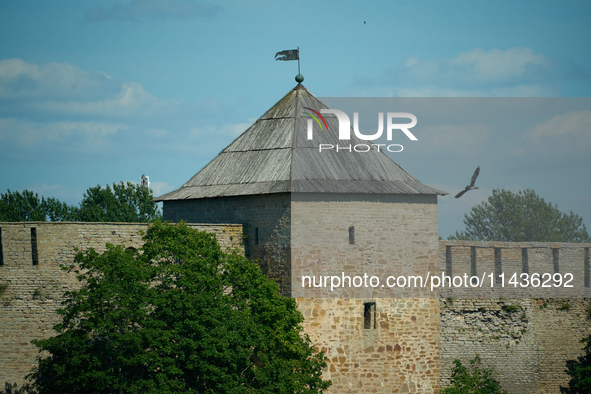 A bird flies past a tower of the Ivangorod Fortress accross the river in Narva, Estonia on 24 July, 2024. Estonian authorities have closed t...