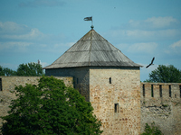 A bird flies past a tower of the Ivangorod Fortress accross the river in Narva, Estonia on 24 July, 2024. Estonian authorities have closed t...