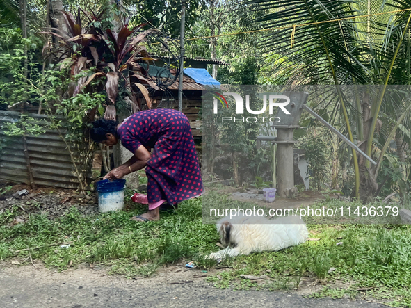 A woman is filling a bucket with drinking water in Pathanamthitta, Kerala, India, on April 05, 2024. 