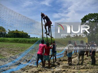 An Indian forest official is setting up a net trap to capture a Royal Bengal tiger near a jute field in Dhing, Nagaon District of Assam, on...