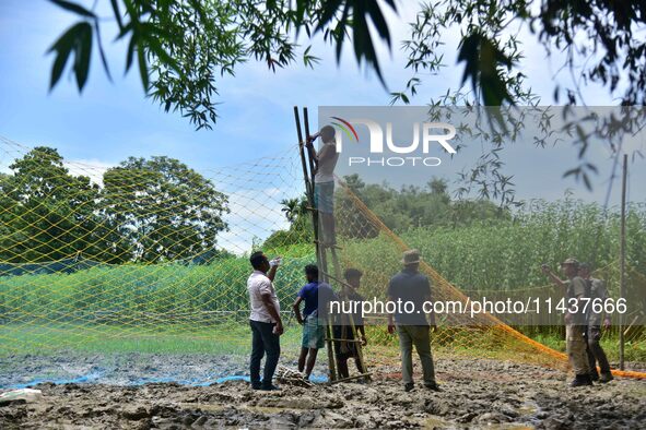 An Indian forest official is setting up a net trap to capture a Royal Bengal tiger near a jute field in Dhing, Nagaon District of Assam, on...