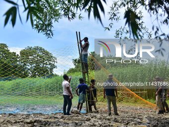 An Indian forest official is setting up a net trap to capture a Royal Bengal tiger near a jute field in Dhing, Nagaon District of Assam, on...