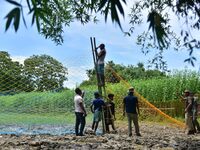 An Indian forest official is setting up a net trap to capture a Royal Bengal tiger near a jute field in Dhing, Nagaon District of Assam, on...