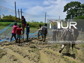 An Indian forest official is setting up a net trap to capture a Royal Bengal tiger near a jute field in Dhing, Nagaon District of Assam, on...