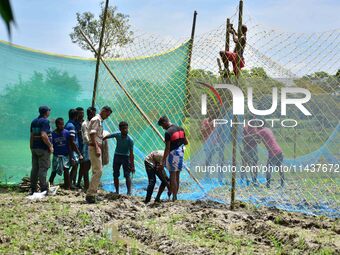 An Indian forest official is setting up a net trap to capture a Royal Bengal tiger near a jute field in Dhing, Nagaon District of Assam, on...