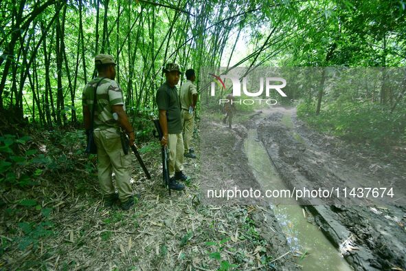 Forest officials are keeping vigil after a Royal Bengal tiger is being spotted by local villagers near a jute paddy field in Dhing, Nagaon D...