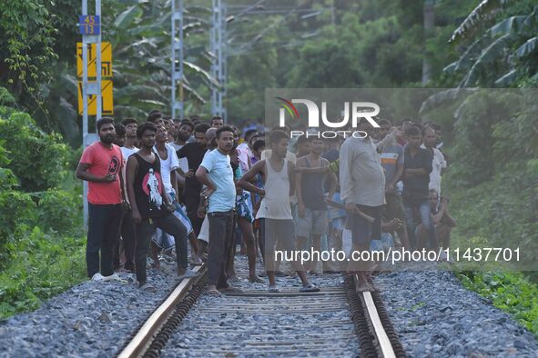 Villagers are flocking around a railway track where a Royal Bengal tiger is taking shelter in a jute paddy field in Dhing, Nagaon District o...