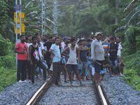 Villagers are flocking around a railway track where a Royal Bengal tiger is taking shelter in a jute paddy field in Dhing, Nagaon District o...