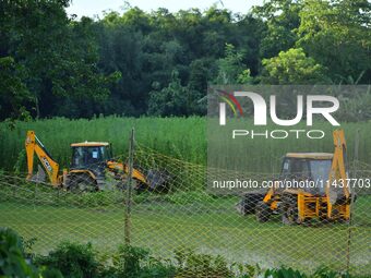 Forest officials are searching for a tiger taking shelter in a jute paddy field in Dhing, Nagaon District of Assam, on July 27, 2024. It is...