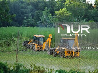 Forest officials are searching for a tiger taking shelter in a jute paddy field in Dhing, Nagaon District of Assam, on July 27, 2024. It is...