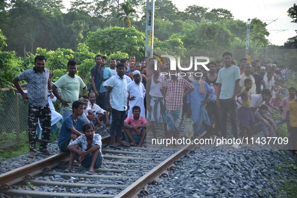 Villagers are flocking around a railway track where a Royal Bengal tiger is taking shelter in a jute paddy field in Dhing, Nagaon District o...