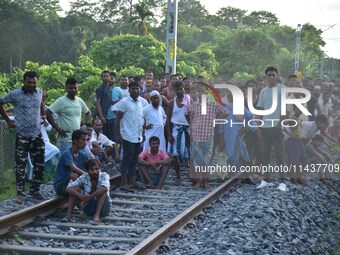 Villagers are flocking around a railway track where a Royal Bengal tiger is taking shelter in a jute paddy field in Dhing, Nagaon District o...