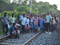 Villagers are flocking around a railway track where a Royal Bengal tiger is taking shelter in a jute paddy field in Dhing, Nagaon District o...