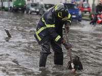 A firefighter is trying to unclog a drain after flooding is reported in various areas of Mexico City. (